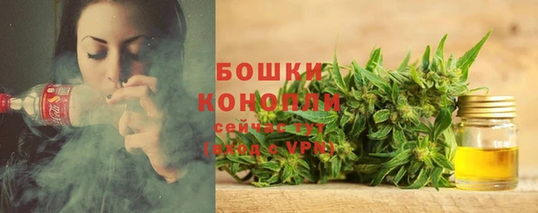 прущие грибы Протвино