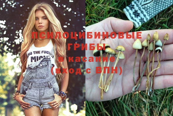 MDMA Алексин
