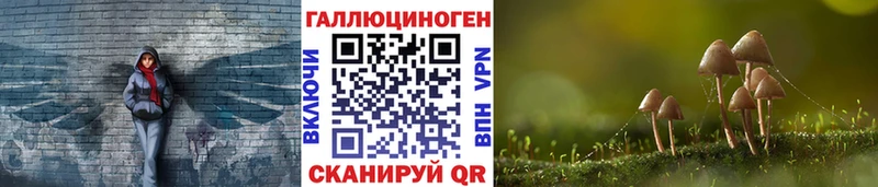 сайты даркнета формула  Тавда  Галлюциногенные грибы мицелий 